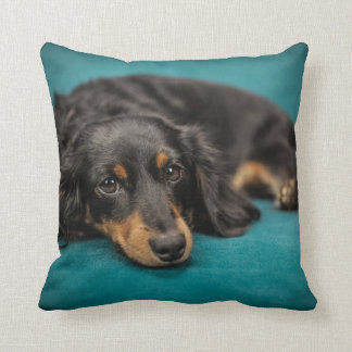 Coussin Dachshund à cheveux longs