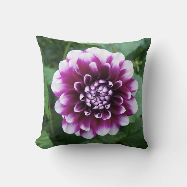 Coussin Dahlia pourpre et blanc (Recto)