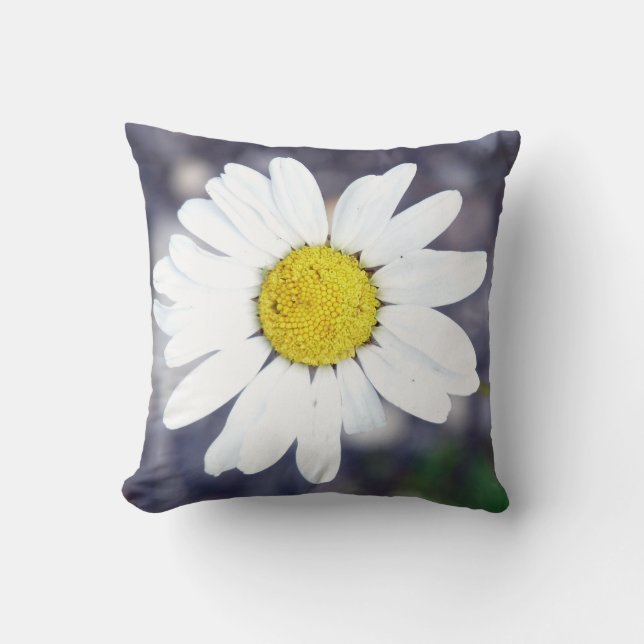 Coussin Daisy (Recto)