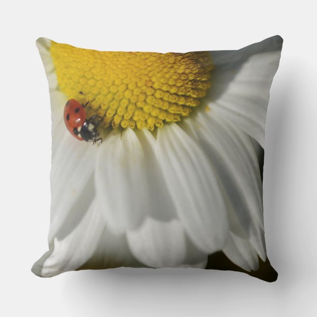 Coussin Daisy Et Un Ladybug (Recto)