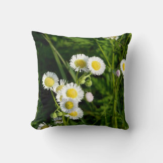 Coussin Daisy Fleabane