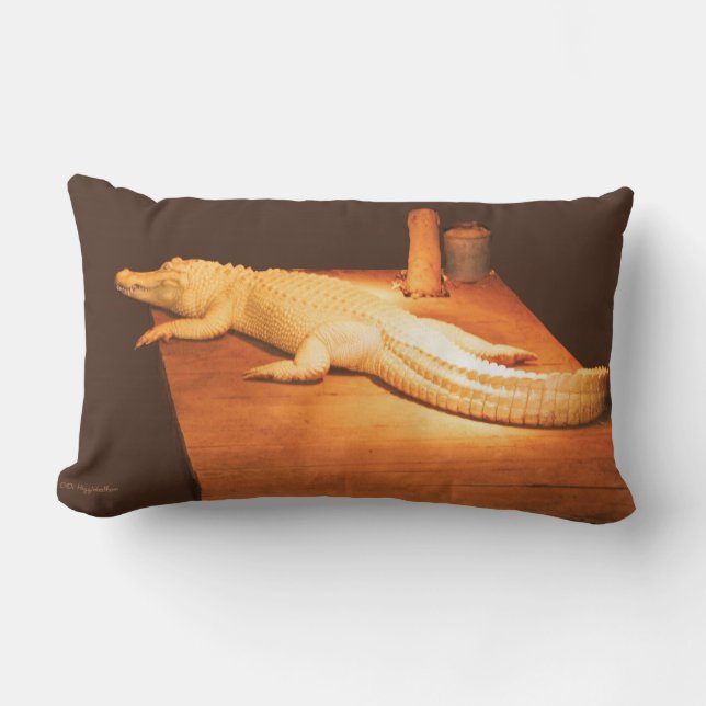 Coussin d'alligator albinos (Recto)
