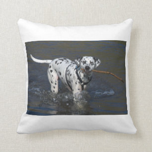 Coussin Dalmate-dans water.png