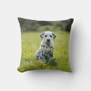 Coussin Dalmatien fantaisiste
