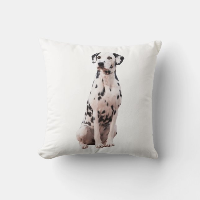 Coussin Dalmation Eau Couleur peinture (Recto)
