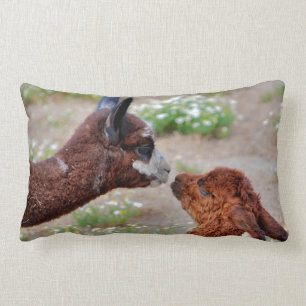 Coussin d'alpaga