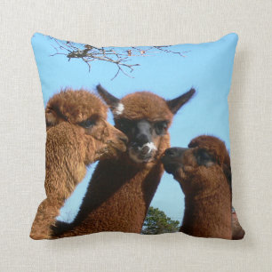 Coussin d'alpaga