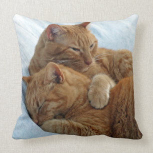 Coussin d'amour fraternel