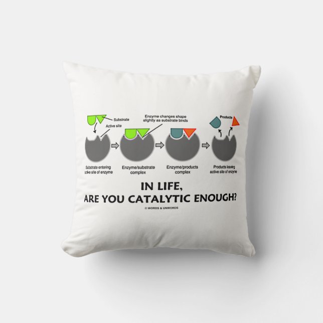 Coussin Dans La Vie, Êtes-Vous Assez Catalytique ? Humour  (Recto)