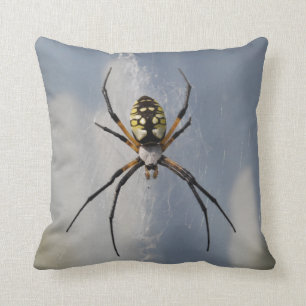 Coussin d'araignée d'Argiope