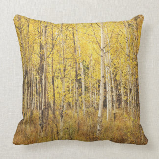 Coussin d'arbre de bouleau - jaune, or brun, blanc