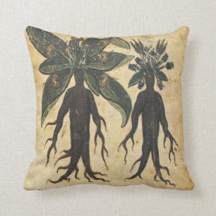 Coussin d'art de mandragore