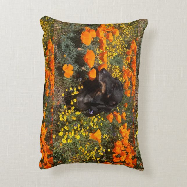 Coussin DashshundAccent (Dos(Vertical))