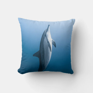 Coussin Dauphin de mer mignonne