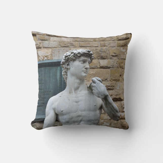 Coussin David de Michel-Ange (Recto)