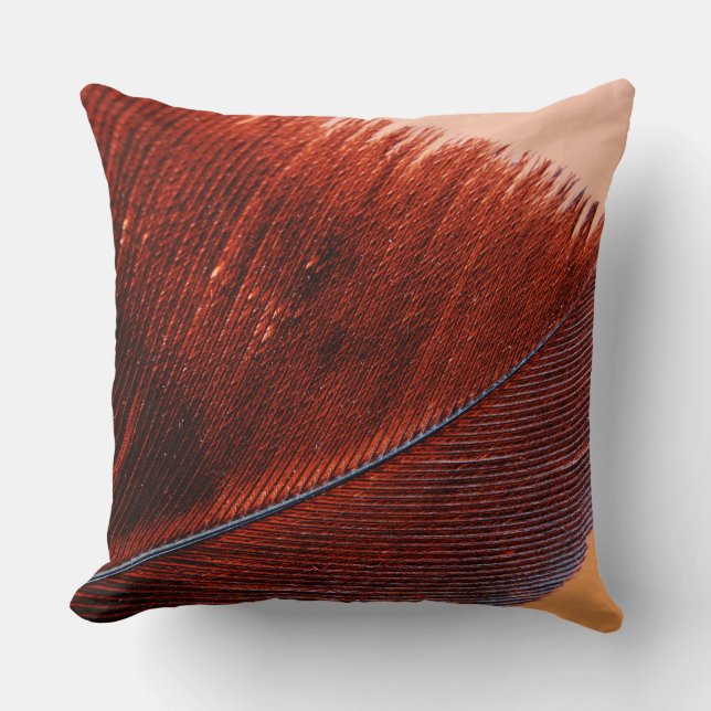 Coussin de 40,5 cm x 40,5 (Recto)