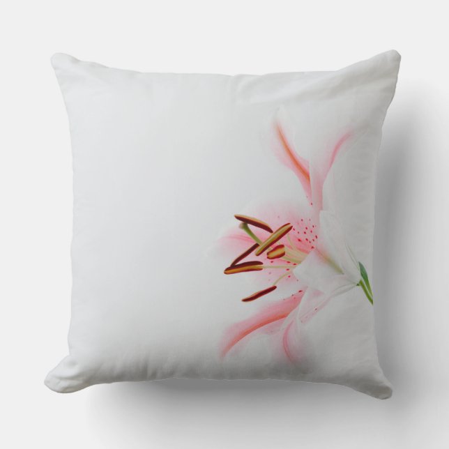 Coussin de 40,5 cm x 40,5 (Recto)