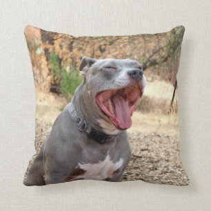 Coussin de bâillement de matin de Pitbull