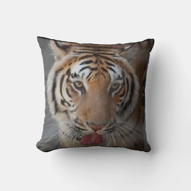 Coussin de baisers de tigre (Recto)
