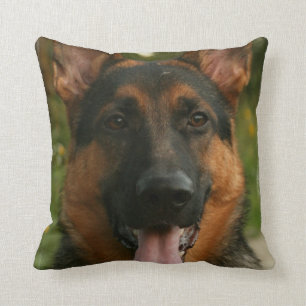Coussin de berger allemand
