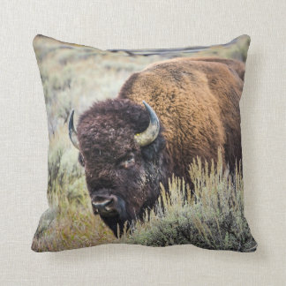 Coussin de bison