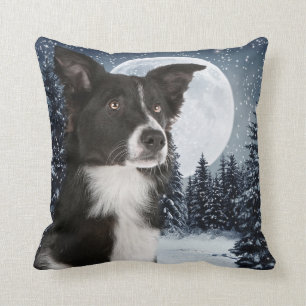 Coussin de border collie