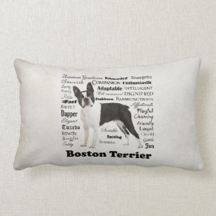 Coussin de Boston Terrier Traits