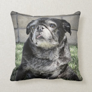 Coussin de Bumblesnot