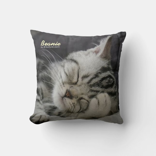 Coussin de calotte (Recto)