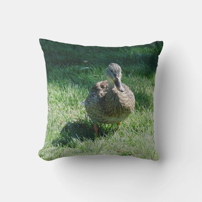 coussin de canard (Recto)