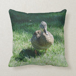 coussin de canard