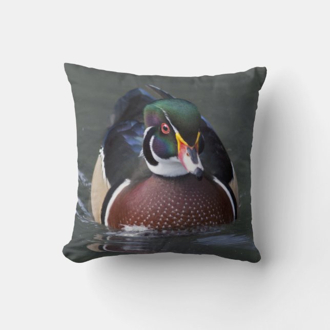 Coussin de Canard Branchu d'Amérique (Recto)