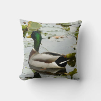 Coussin de canard de Mallard
