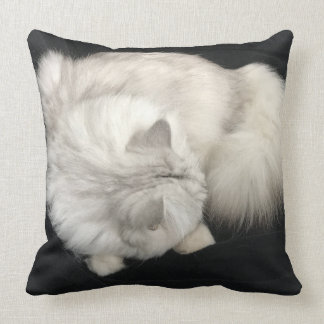 Coussin de caresse de chat