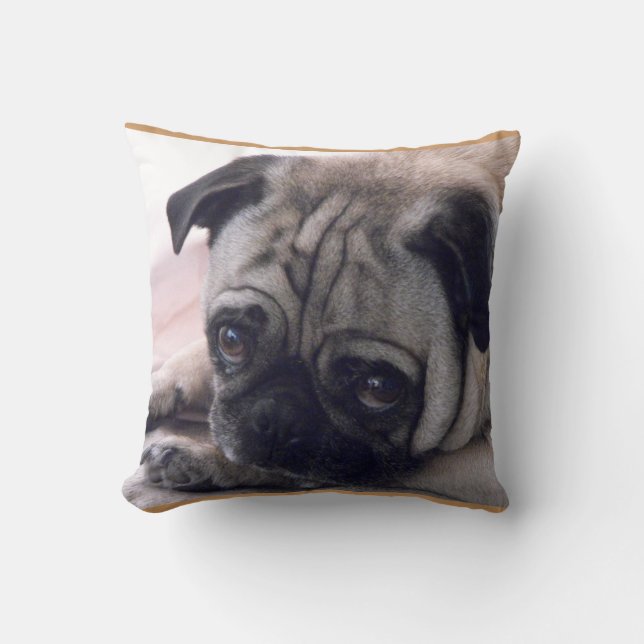 Coussin de carlin (Recto)