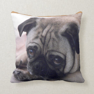 Coussin de carlin
