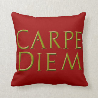 Coussin de Carpe Diem