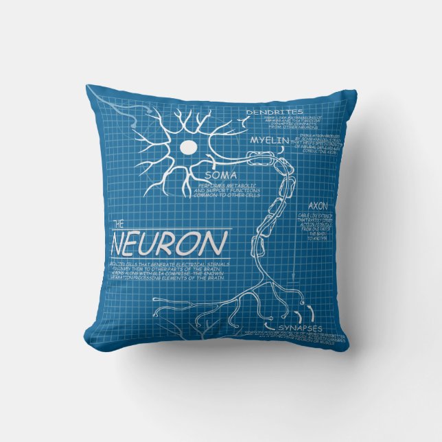 coussin de cerveau (Recto)