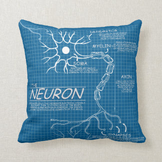 coussin de cerveau