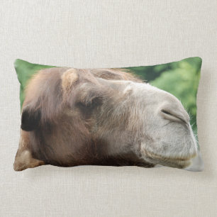 Coussin de chameau Arabe