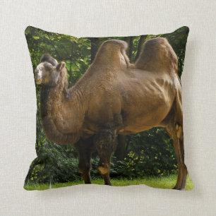 Coussin de chameau de deux Humped