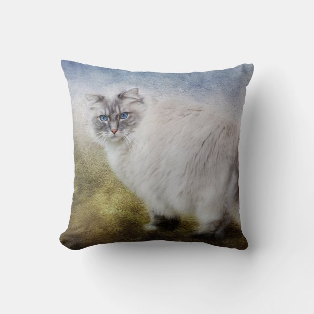 Coussin de chat de Ragdoll (Recto)