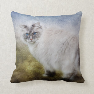 Coussin de chat de Ragdoll