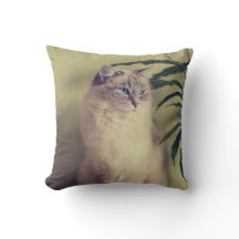 Coussin de chat de Ragdoll