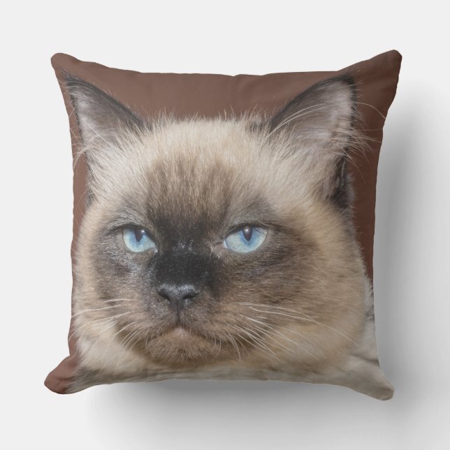 Coussin de chat de Siamese (Recto)