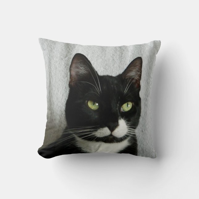 Coussin de chat de smoking de préjudice (Recto)