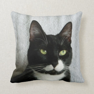 Coussin de chat de smoking de préjudice
