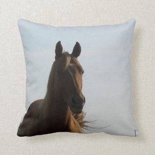 Coussin de cheval