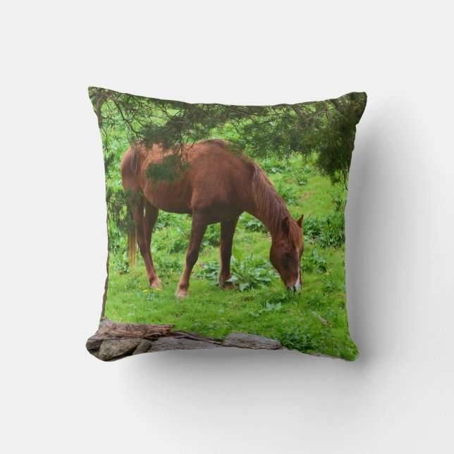 Coussin de cheval (Recto)