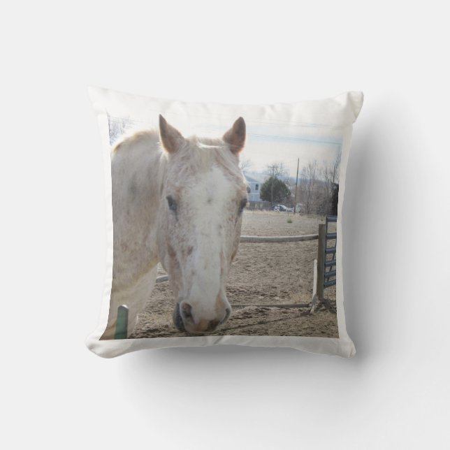 Coussin de cheval blanc (Recto)